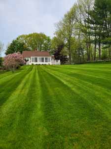 Landscaping job